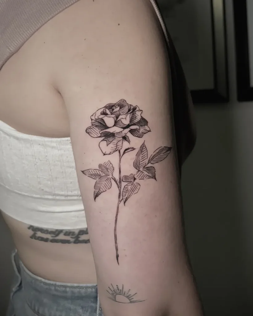 Fine line rose